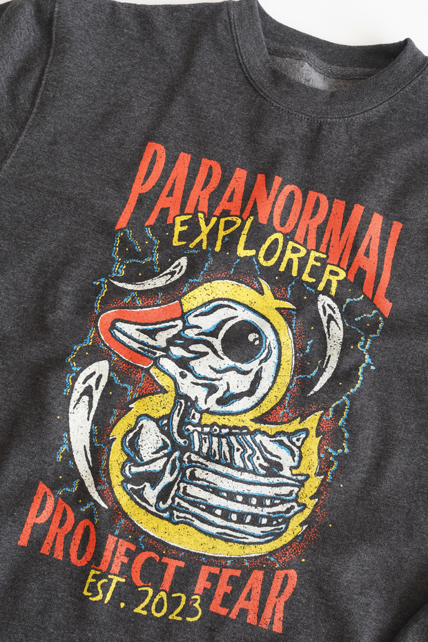 PARANORMAL EXPLORER - VINTAGE