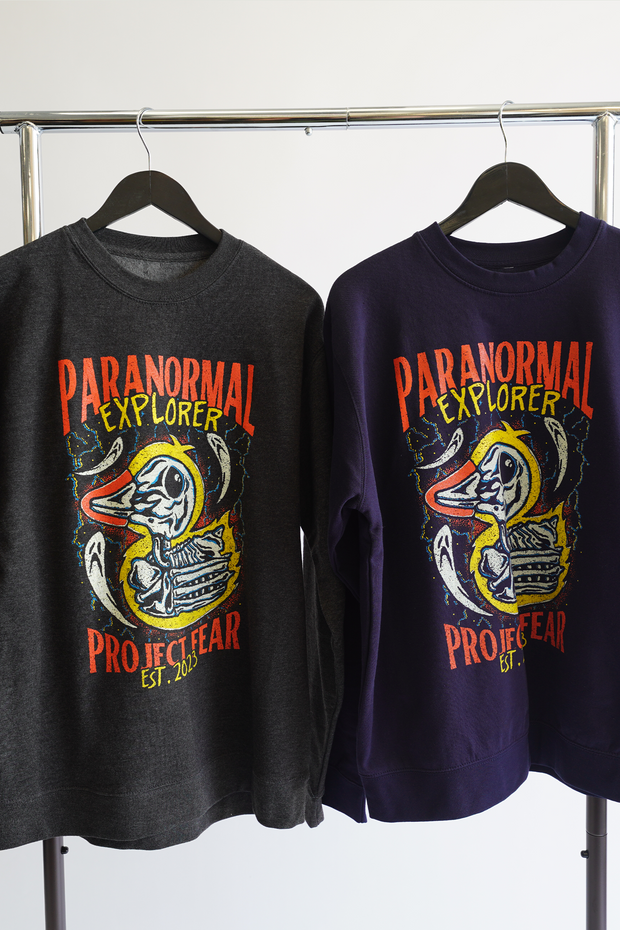 PARANORMAL EXPLORER - VINTAGE